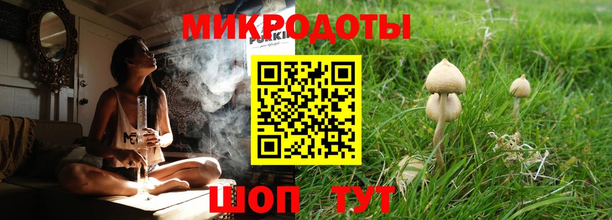 Галлюциногенные грибы Psilocybine cubensis  Вход с VPN  Гатчина 