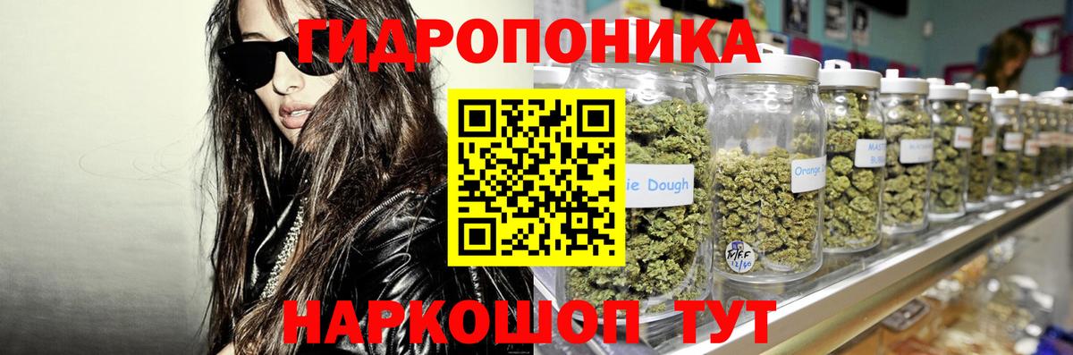 Гатчина  МАРИХУАНА тримм  Бошки Шишки планчик  Вход с VPN  Бошки марихуана конопля 