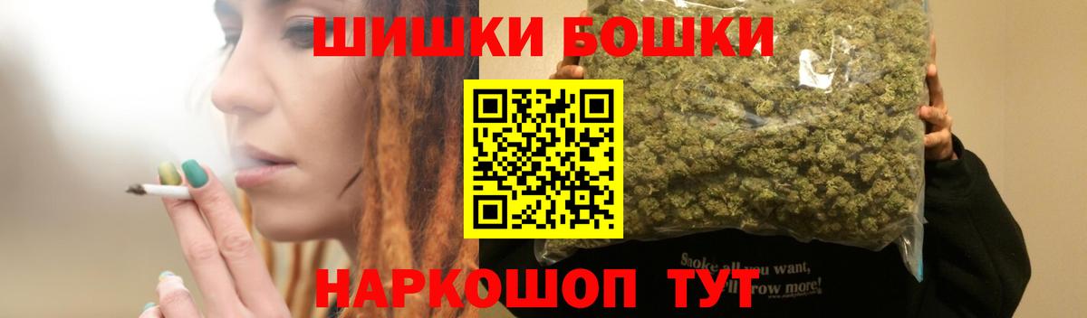 Бошки Шишки планчик Гатчина